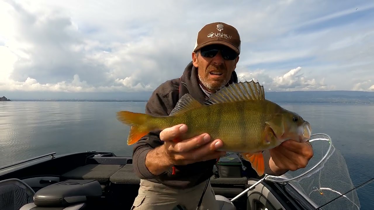 Pêche de la perche aux leurres sur le lac Léman - Ludovic Briet, Moniteur  Guide de pêche - YouTube