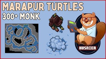 Marapur Turtles | PROFIT spot | 300+ Monk | Tibia