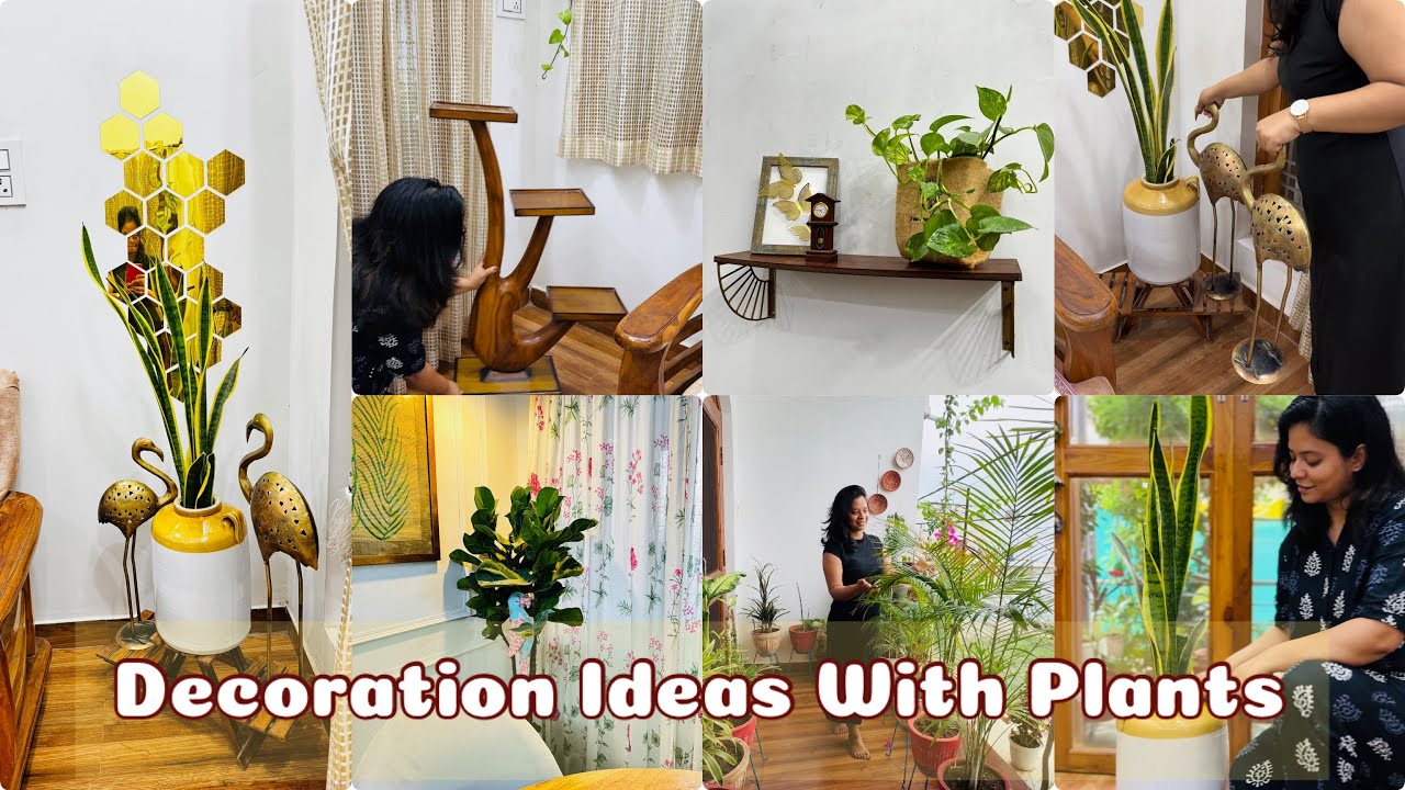 Gorgeous Decor Ideas with Plants that Instantly add Style in your Home 🤩