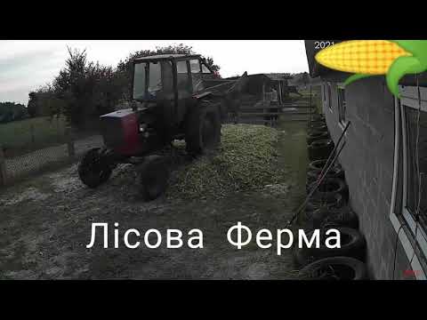 силос 2021 трамбовка