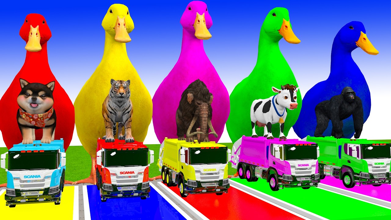 Long Slide Game With Cow Elephant Gorilla Hippopotamus Tiger 3d Animal Game Funny 3d Animals