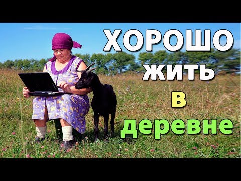 Переезд в деревню. Преимущества сельской жизни перед городской.