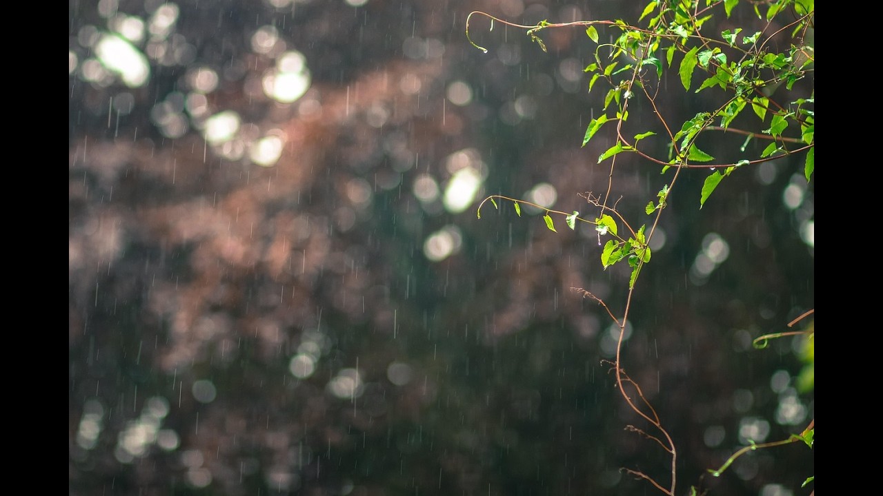 3 hours relaxing rain sounds