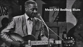 Lonnie Johnson-Mean Old Bedbug Blues