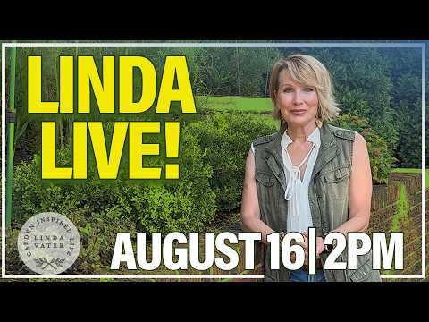 Linda Vater Live | Don't Miss It!