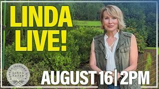 Linda Vater Live | Don't Miss It!