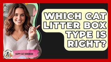 Which Cat Litter Box Type Is Right? - Happy Cat Handbook