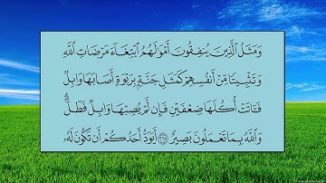 سورة البقرة (الآية 261 ~ الآية 271) - ياسر بن راشد الدوسري