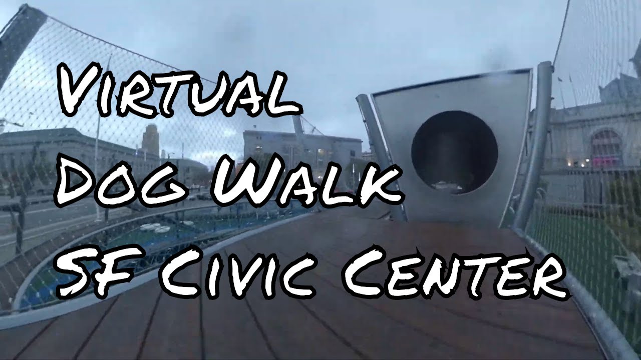 living in san francisco Walk #19 - San Francisco Civic Center - Virtual dog walk - TV for dogs (Shot on Insta360 one x)