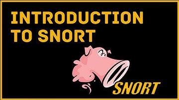 Network Intrusion Detection Systems (SNORT) : IDS/IPS