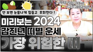 미리보는 2024년 갑진년 띠별 운세 ! 눈물나게 힘이 들고 안 보면 후회하게 될 지도 모른다는 가장 위험한…