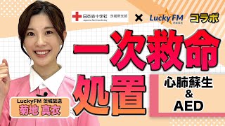 日本赤十字社 × LuckyFM茨城放送コラボ　菊地アナが一次救命処置「心肺蘇生＆AED」を体験！