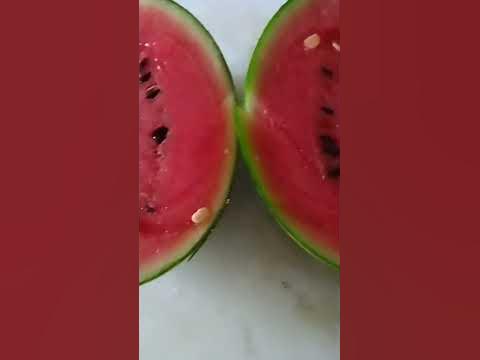 Мелкий японский арбуз 🍉 - YouTube