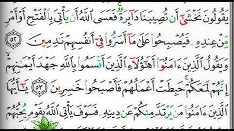 مصحف التجويد صفحة 117 ابراهيم الأخضر 🕋