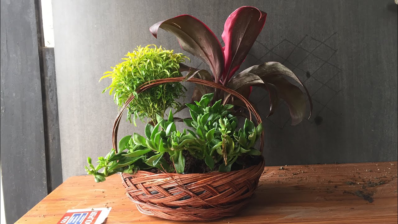 how to make a plant basket , perfect gift for a plant lover. YouTube