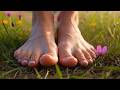 Flowers Miley Cyrus Smooth Bossa Nova Version Tropical Background Music 
