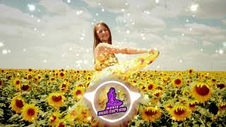 SUNFLOWER - GIANT'S NEST - MUSICDONTSTOP