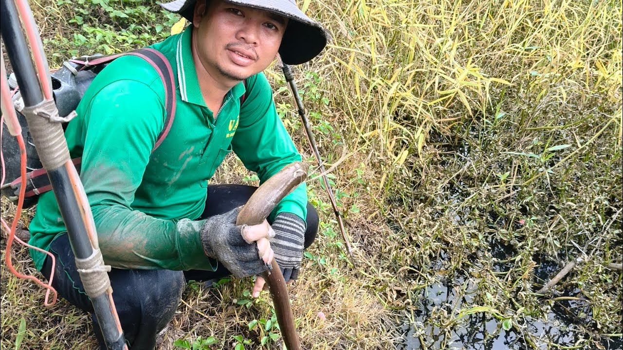 Bắt được nhiều lươn ếch ở hầm vườn lâu năm 