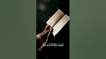 #سعد#الغامدي#سورة الجاثية الايه(٨)#