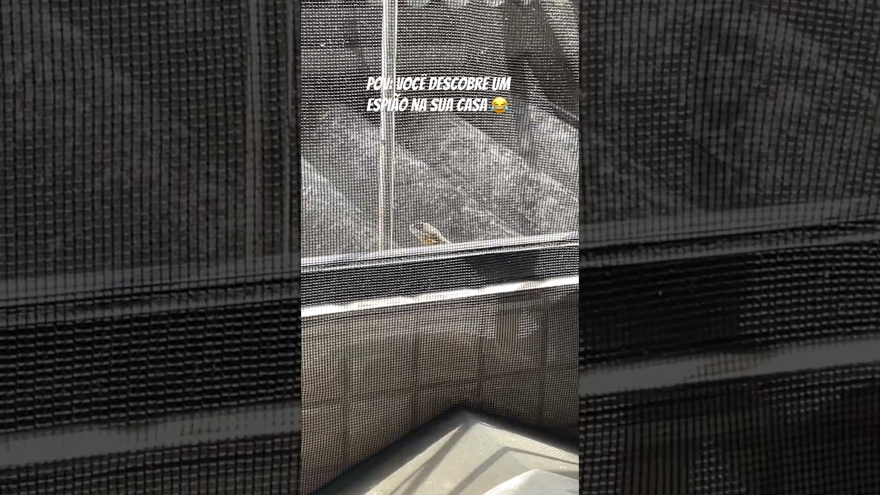 desafio: ache o intruso kkkkkkk #meme #naofloppa