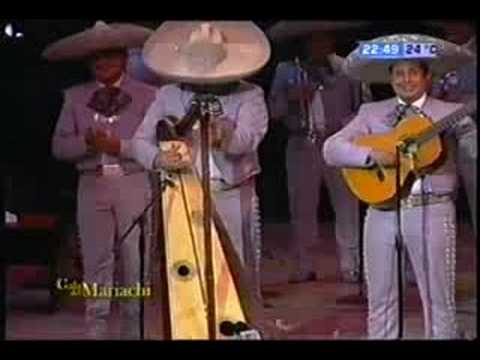 Mariachi Vargas (puras rancheras)