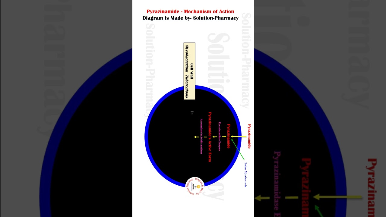 Pyrazinamide Mechanism of Action as Antitubercular Drug |  