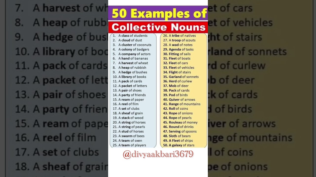 50 Examples of Collective Noun in English Grammar |🔥