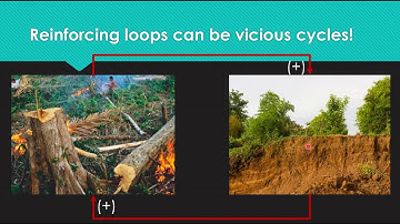 Causal Loop Diagram: Examples of Reinforcing and Balancing Loops [2 of 3]