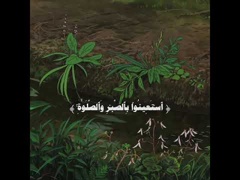 هذه الآية تمس كل قلب حزين عبدالباسط عبدالصمد