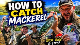 How To Catch Mackerel!