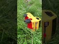 RC Car Flips Over in Tall Grass! #shorts