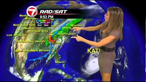 WSVN Weather Julie Durda Grey Dress 9/6/2011