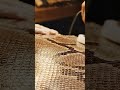 Polishing Snake Skin
