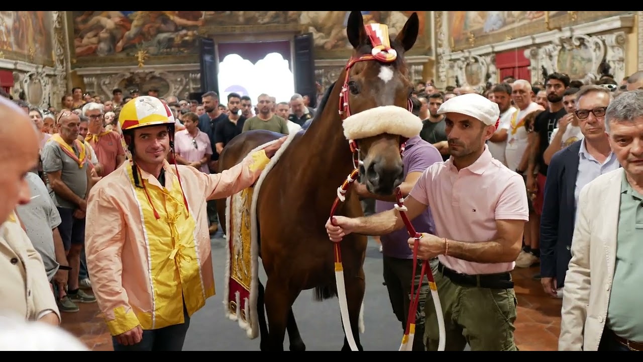 2 luglio 2025 - CONTRADA DI VALDIMONTONE - BENEDIZIONE DEL CAVALLO