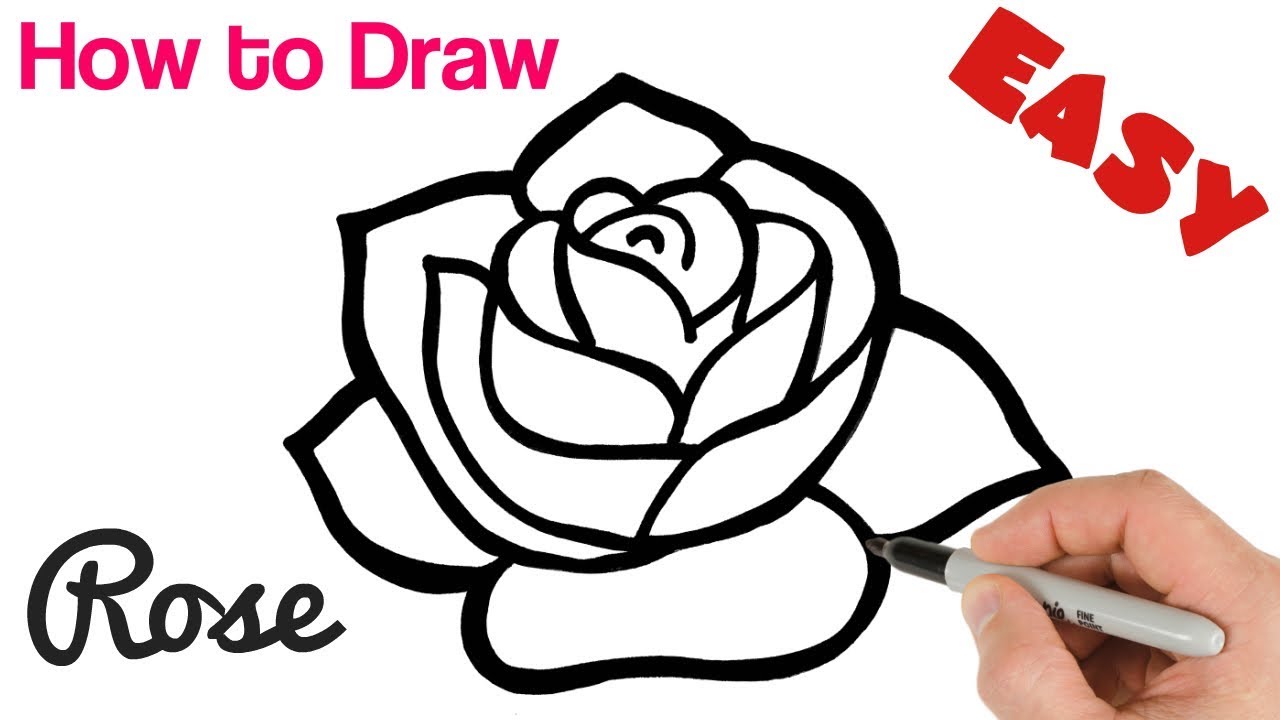 Easy Rose Flower Drawing and Sketch  Take Out Drawing