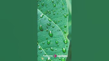 تلاوة جميلة يخشع لها القلب و تنير الدرب للشيخ عبد الباسط عبد الصمد