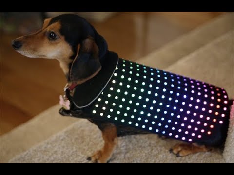 puppy paradise This vest turns your dog into a disco ball
