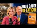 The Mineral Secret Behind Fatigue, Stress & Hormone Burnout | Morley Robbins