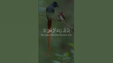 المنشاوي - تلاوة باكية ومؤثرة من سورة العلق - كلا إن الإنسان ليطغى أن رآه استغنى إن إلى ربك الرجعى