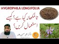    تال مکھانہ کے استعمالات اور فوائد