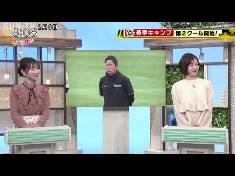 🐯阪神タイガース 春季キャンプ 第2クール開始！⚾