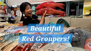 Full Beautiful Red Groupers! (25 Aug 2026 Tues) Guide