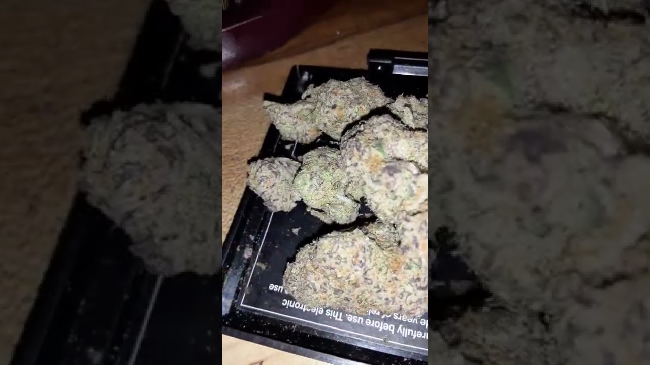 Lemon Cake Exotic Strain⛽🔥😤