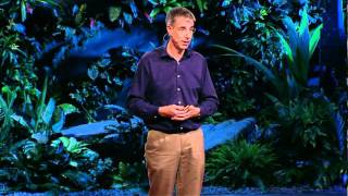 Daniel Wolpert: The real reason for brains(, 2011-11-03T15:28:02.000Z)