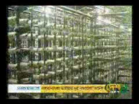 War for Bangladeshi Handloom & Powerloom 10.mp4