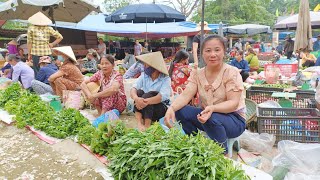 Harvesting water spinach to sell at the market, gardening to grow vegetables