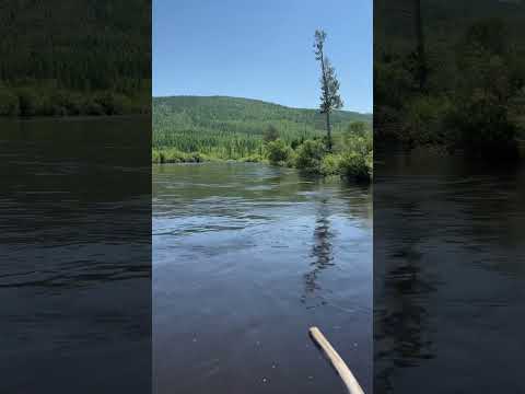 Video: Khiloki jõgi Trans-Baikali territooriumil. Kus voolab Khiloki jõgi?