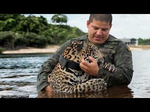 Video: 10 Segni Di Un Cattivo Salvataggio Di Animali