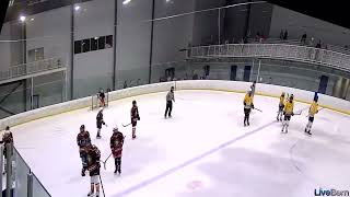 Two goals in seven seconds. LiveBarn 1038669 30000 Essex Sports Center Rink 1 2024 07 13T092953
