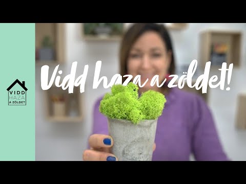 Mi a közös a csirkében és a táskában?🐔| Vidd haza a zöldet!